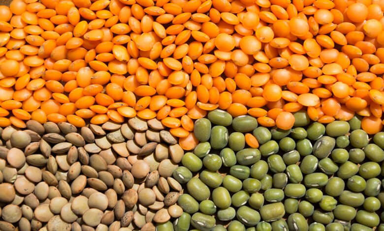 بررسی 6 خواص عدس و معرفی انواع عدس ها + ارزش غذایی |هم ورک