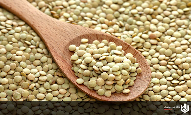 بررسی 6 خواص عدس و معرفی انواع عدس ها + ارزش غذایی |هم ورک