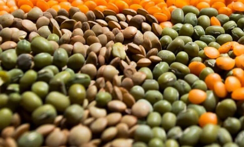 بررسی 6 خواص عدس و معرفی انواع عدس ها + ارزش غذایی |هم ورک